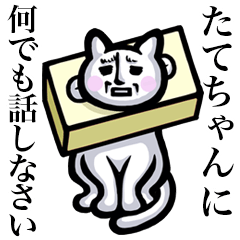 Stray cat!! Tatechan
