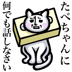 Stray cat!! Tabechan
