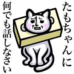 Stray cat!! Tamochan