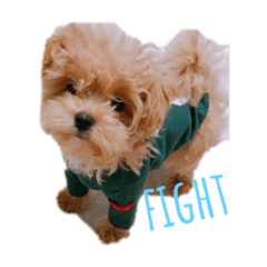 akane_20190711154103