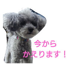 juuuuun.M_20190711191158