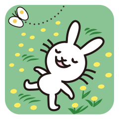 White rabbit enjoying free time