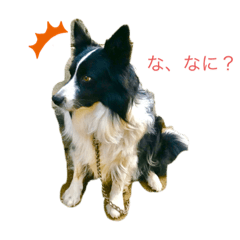 kanae_20190711202417