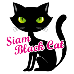Siam Black Cat