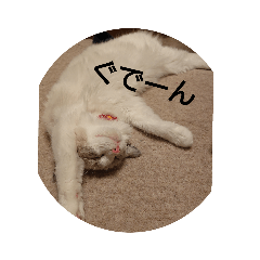 AO_20190711205439
