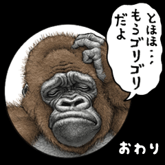 Gorilla gorilla 9