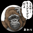 Gorilla gorilla 9