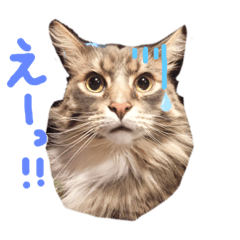 Natsumi_20190711230053