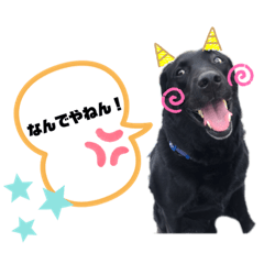 KAZUE_20190711230146