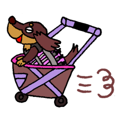 ハノ時々コルセット