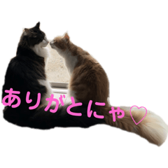 Nakanomori zoo