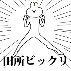 Rabbit Name tadokoro.moves!