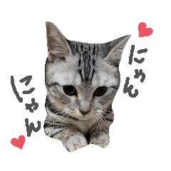 AYUMI_20190712014636