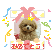 Mayumi_20190712101750