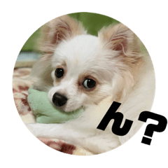 Milky_20190712111711