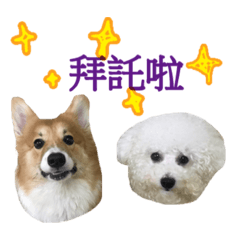 哈啾 嗯哼 – LINE貼圖 | LINE STORE