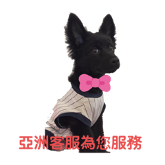 黑寶米克斯之工作日常