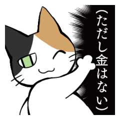 Cat's daily life(OTAKU Ver.)