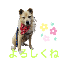 nobo_20190712113948