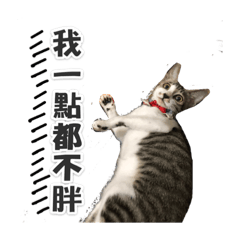 蹭蹭&點點