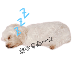 pon_20190712163744