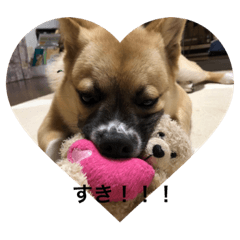 Ayumi_20190712175104