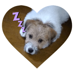 ayumi_20190712181123