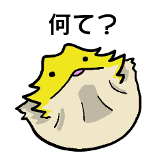 Mr.FUGORO.