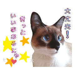 monokurousagi_20190712224224