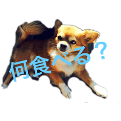 maron_20190712225013