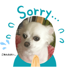 Rinrin_