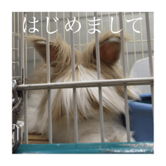 c_20190708193159