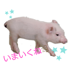 ann_20190713070229