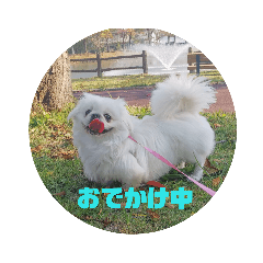 Hide_20190713092735
