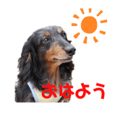 peace_20190713083007