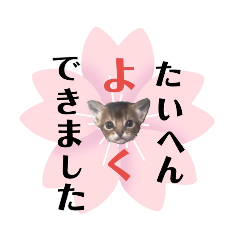 kitten stickers 13