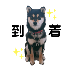 kayo_20190713143734