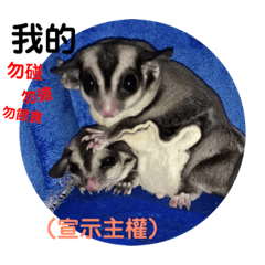 毛點の鼯生