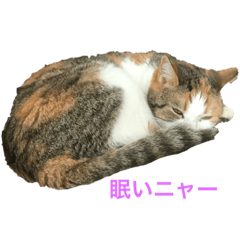 Hikaru_20190713040839
