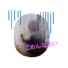 AKIKO_20190713122642