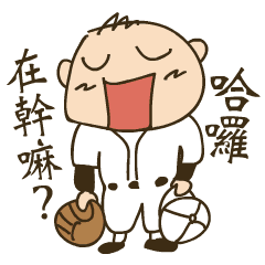 我為台灣棒球而瘋狂
