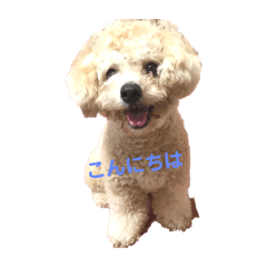 pon_20190713150400