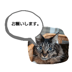 KY_20190713130316
