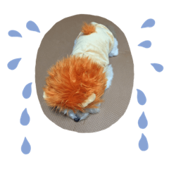 abcdefg_20190713151722