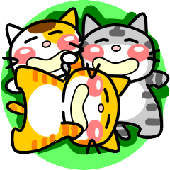 Three cute cats that can be used daily-3
