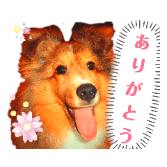 sawa_20190713153948