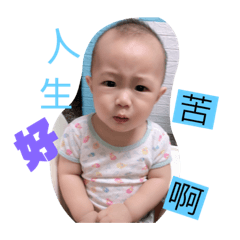 迷你齊的生活日常