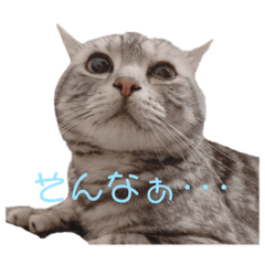 Kazuki_20190713145249