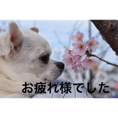 suu_20190713210806