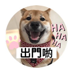 柴寶妞的世界1